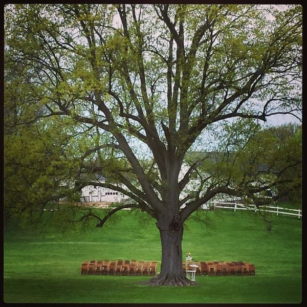 Oak Tree Ceremony