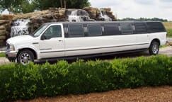 All About You Limos