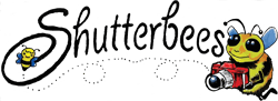 Shutterbee's logo